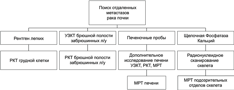 Алгоритм стадирования рака почки